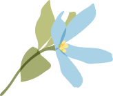 flower3
