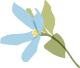 flower5